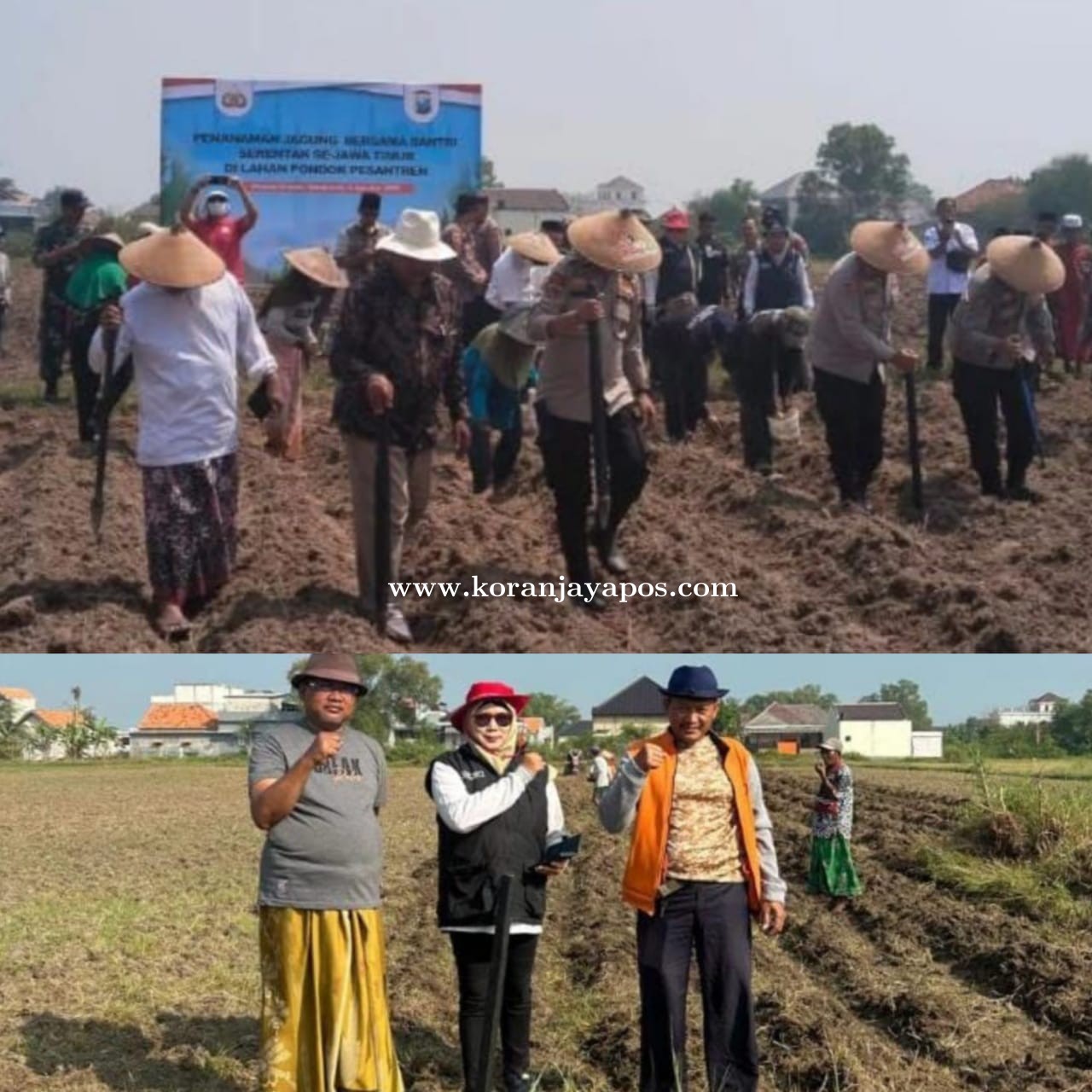 Ketua Poktan Mustika Jaya H.Mansur Tanam Jagung Bersama Polri Dan Beberapa Santri di Arosbaya.